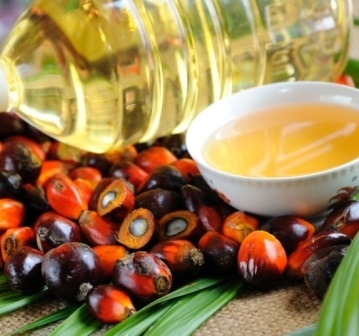 The price of palm oil increased by 4.6% and was supported by quotes of other oils