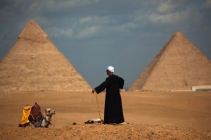 Єгипет повертає вимоги до вмісту ріжків та відмовляє пшениці з Канади та Польщі