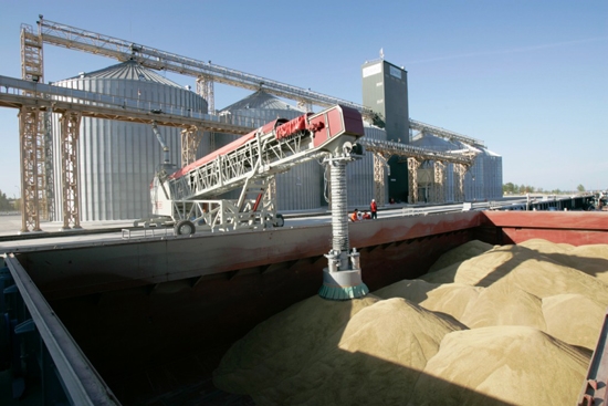 В поточному сезоні Україна вже експортувала більше 9 млн. тон зерна