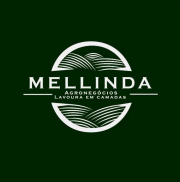 Mellinda Alimentos 