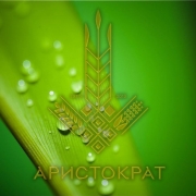 ТОВ Аритократ-Н