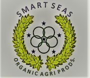 Smart Seas