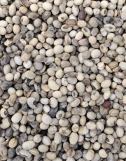 ФОП Пінькас Олексій Вадимович