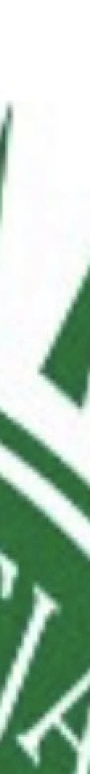 торгівля аль-худ-худ 