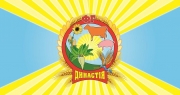 ФГ Династія
