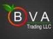 BVA Trading LTD