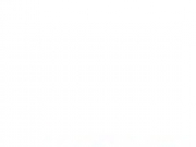 ДП Премьер Экспо