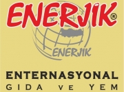 Enerjik International
