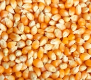 ФОП Іванюк Іван Агро Віра