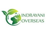 Indrayani Overseas