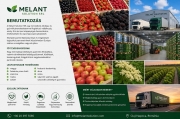 Melant Solution S.R.L