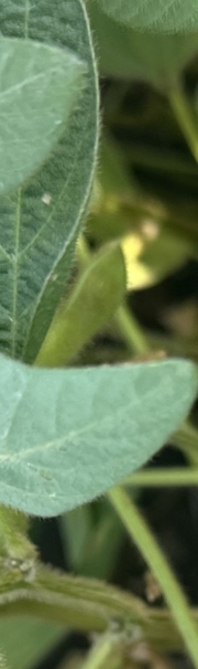 ФОП Гужва Володимир Іванович 