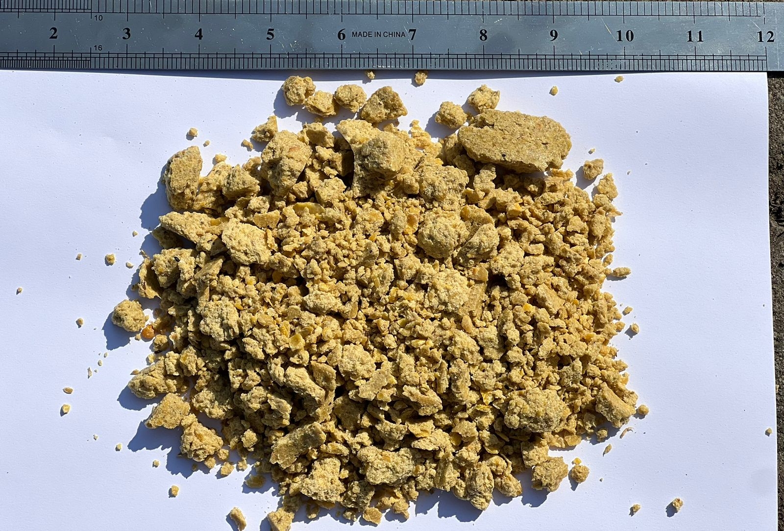 foto4